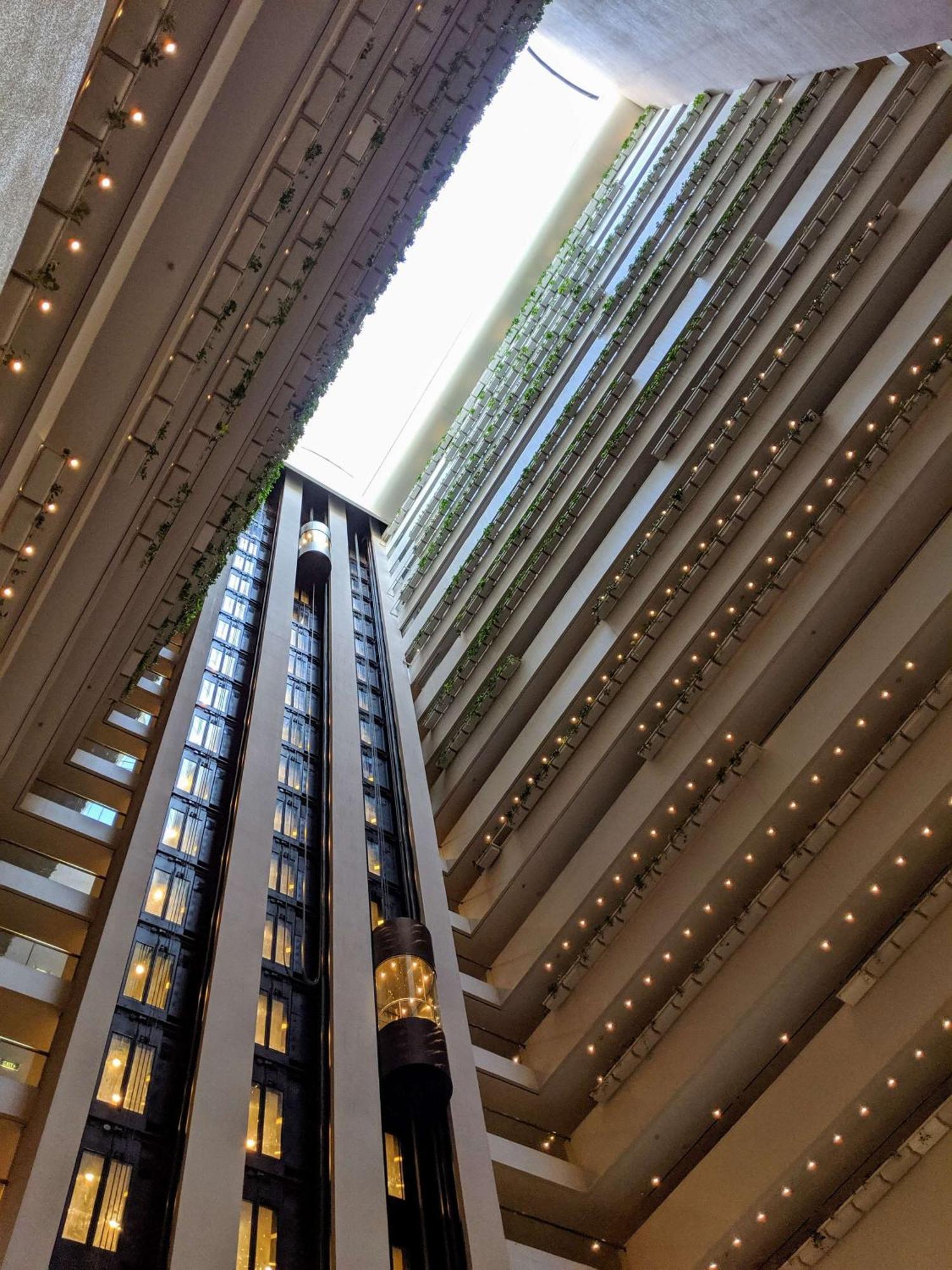 Hilton Brisbane Hotel Exterior photo